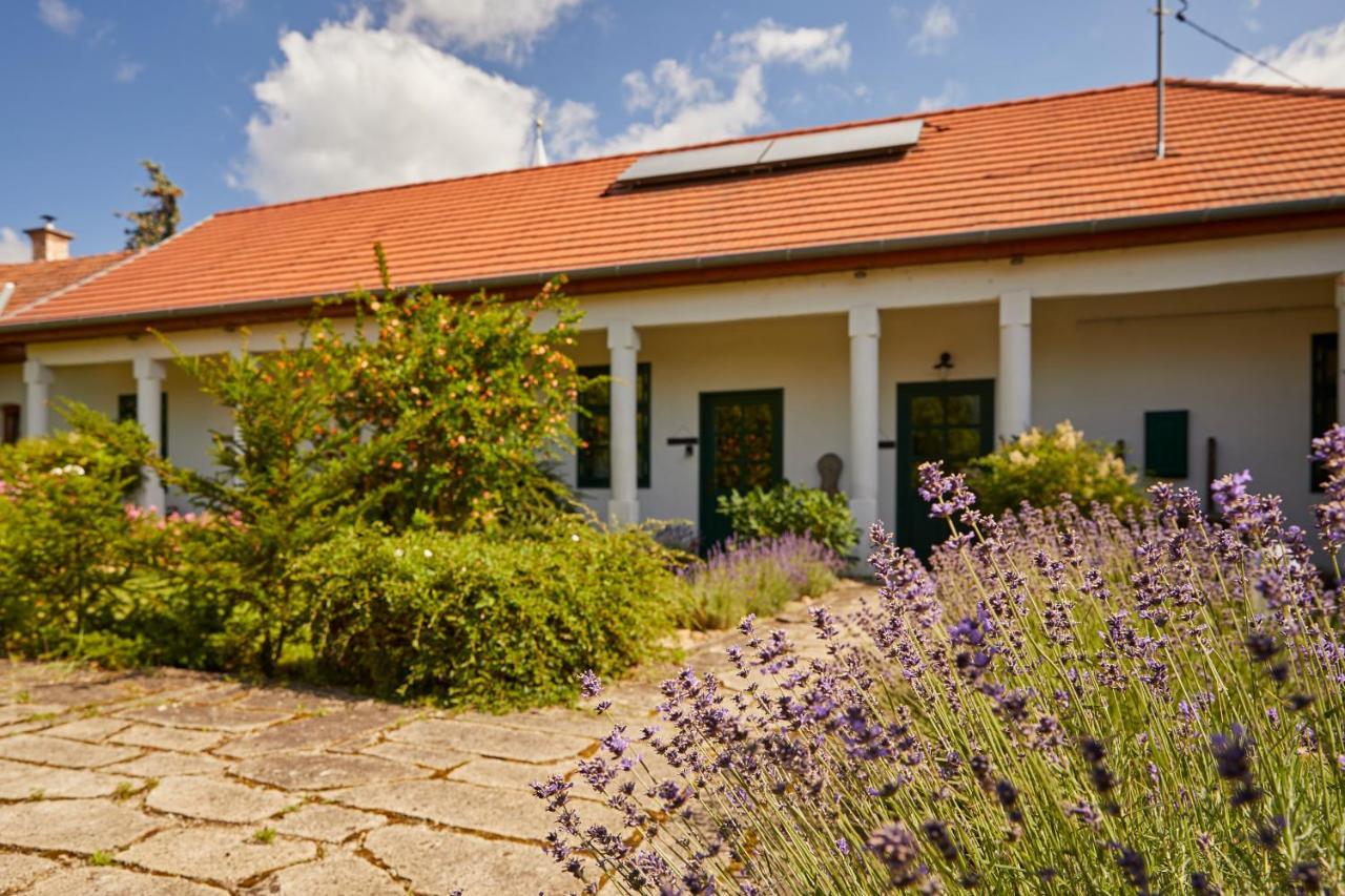 Hotel Barta Pince Vendeghaz Mád Exterior foto